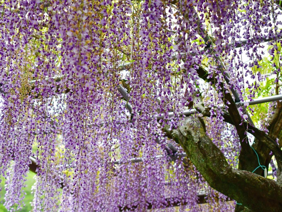 Hotel Tomioka-ya Fujieda Eksteriør billede